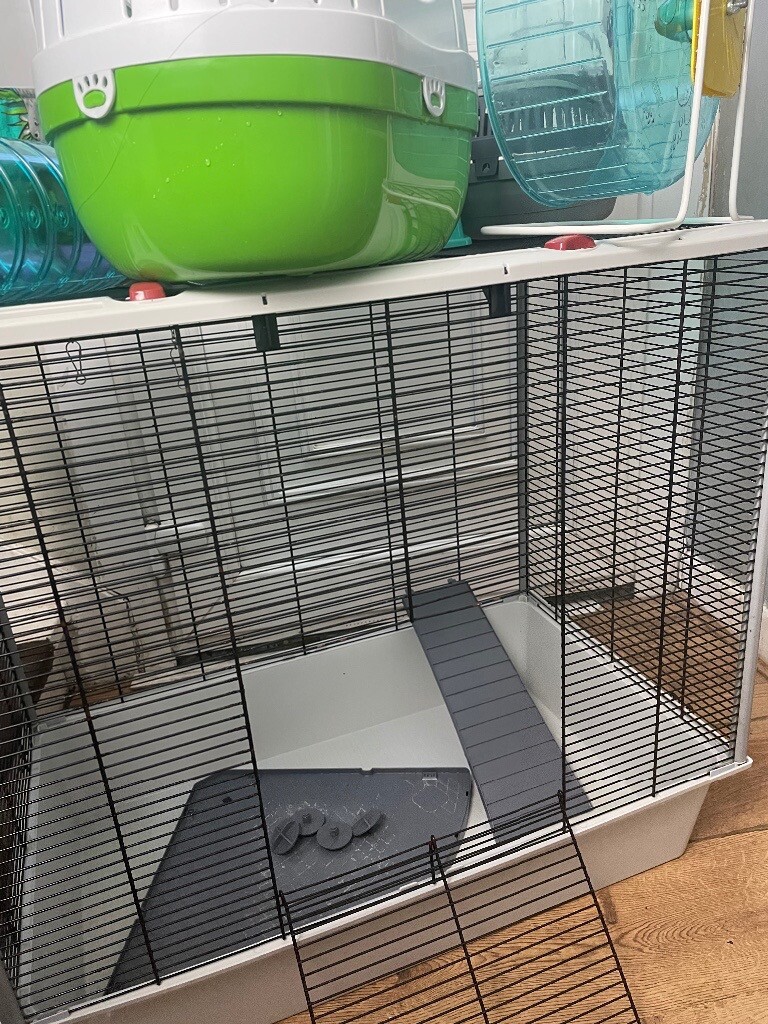 rat cage accessories